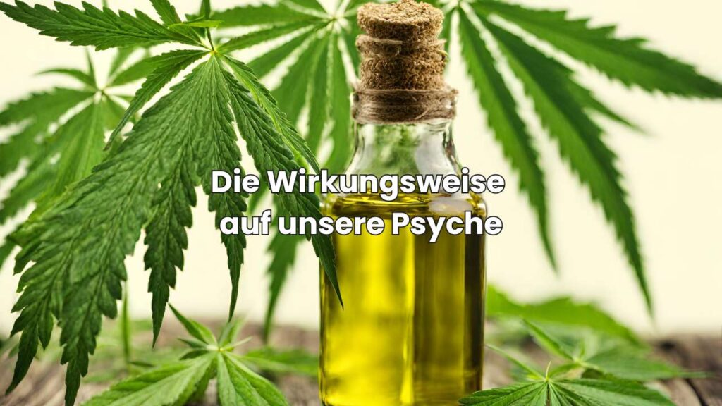 CBD Öl – Die Wirkungsweise auf unsere Psyche