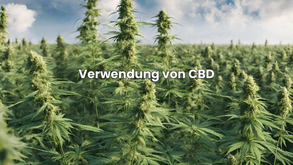 Nutzhanf-Geschichte - Verwendung von CBD