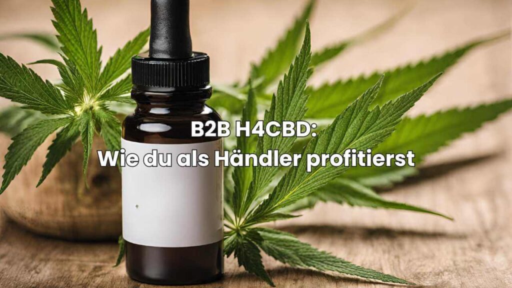 B2B H4CBD - Wie du als Händler profitierst