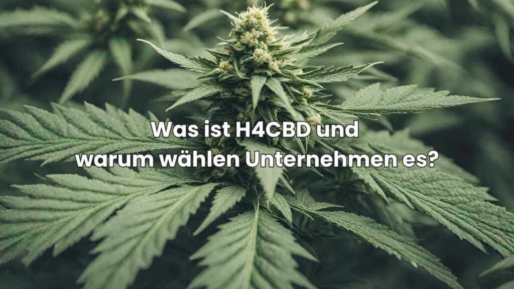 Was ist H4CBD und warum wählen Unternehmen es