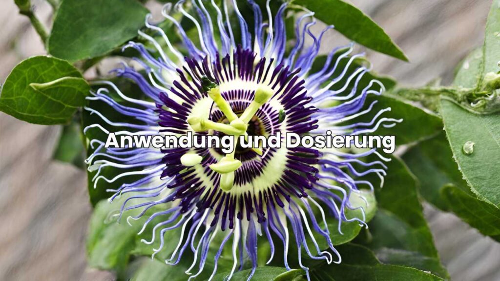 Anwendung und Dosierung - Passionsblume