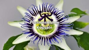 Passionsblume Kapseln kaufen