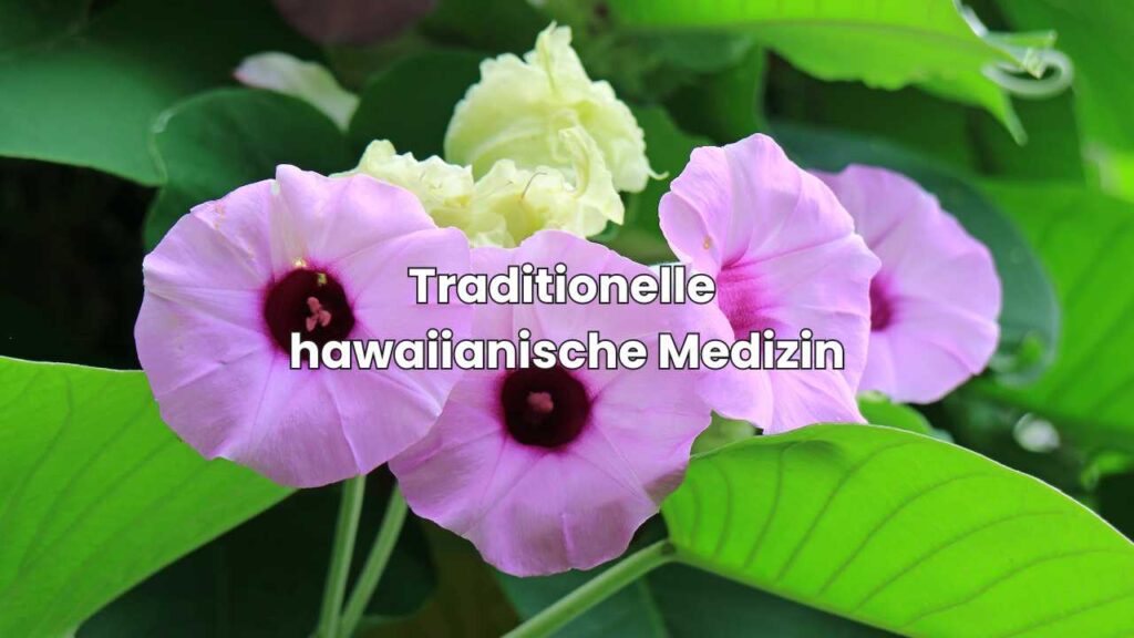 Traditionelle hawaiianische Medizin