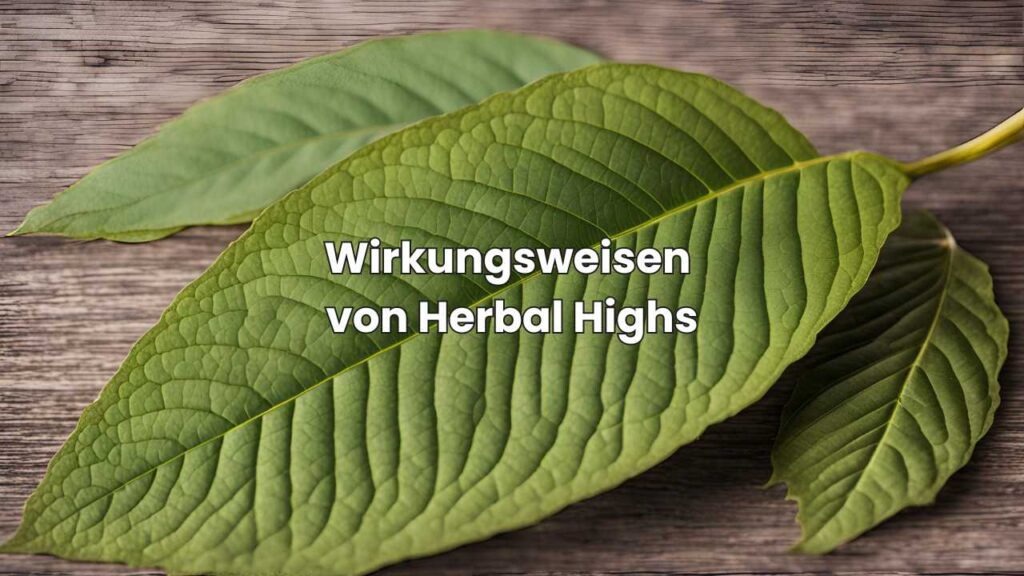 Wirkungsweisen von Herbal Highs